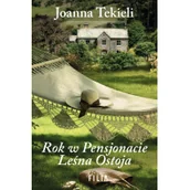 Literatura obyczajowa - Rok w Pensjonacie Leśna Ostoja - miniaturka - grafika 1