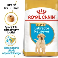 Sucha karma dla psów - Royal Canin Labrador Retriever Junior 12 kg - miniaturka - grafika 1