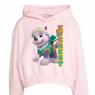 BLUZA KRÓTKA RÓŻOWA Z Kapturem Do Szkoły Psi Patrol EVEREST Wzory - 110 - Bluzy męskie BLUZA KRÓTKA RÓŻOWA Z Kapturem Do Szkoły Psi Patrol EVEREST Wzory - 110 - Bluzy męskie - miniaturka - grafika 1