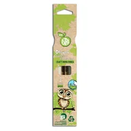 Ołówki - Ołówek z papieru kraftowego z zieloną gumką ECO Astra, blister eco 2 szt. - miniaturka - grafika 1