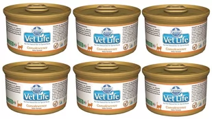 Farmina Vet Life Convalescence Cat 12x85g 22874-uniw - Mokra karma dla psów - miniaturka - grafika 1