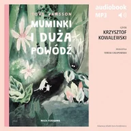 Audiobooki dla dzieci i młodzieży - Muminki i duża powódź Tove Jansson - miniaturka - grafika 1