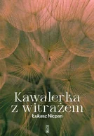 Powieści historyczne i biograficzne - kawalerka z witrażem - miniaturka - grafika 1