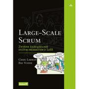 Zarządzanie - Helion Large-Scale Scrum - Craig Larman, Bas Vodde - miniaturka - grafika 1