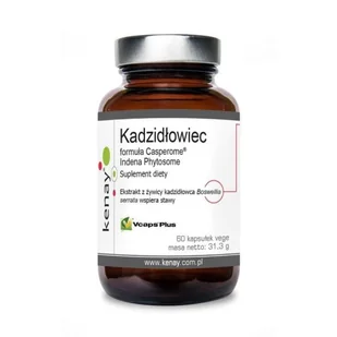 Kadzidłowiec Casperome 60 kaps (Kenay) - Suplementy naturalne - miniaturka - grafika 1