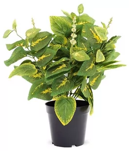 Roślina Dekoracyjna - Sztuczne kwiaty - miniaturka - grafika 1