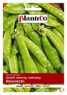 Nasiona i cebule - Nasiona Groch Siewny Cukrowy Iłówiecki Plantico 50G - miniaturka - grafika 1