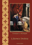 Religia i religioznawstwo - Liliowa dolina - miniaturka - grafika 1