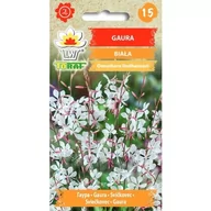 Nasiona i cebule - Gaura biała nasiona kwiatów 0,5g TORAF - miniaturka - grafika 1
