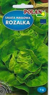 Nasiona i cebule - Sałata Rozalka 1 g POLAN - miniaturka - grafika 1