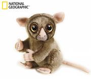 Maskotki i pluszaki - National Geographic Wyrak - miniaturka - grafika 1