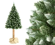 Choinki - Elma Choinka bożonarodzeniowa na pniu 180 cm sosna - miniaturka - grafika 1