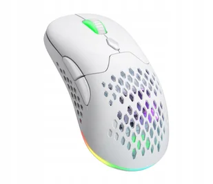 Silver Monkey X Vervet White - Myszki - miniaturka - grafika 1