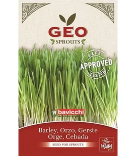 Jęczmień - nasiona na kiełki GEO, certyfikowane, 80g, Bavicchi (ZCR0203) - Zdrowa żywność Jęczmień - nasiona na kiełki GEO, certyfikowane, 80g, Bavicchi (ZCR0203) - Zdrowa żywność - miniaturka - grafika 1
