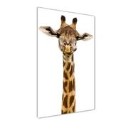 Obrazy i zdjęcia na płótnie - Nowoczesny szklany obraz ze zdjęcia Żyrafa - miniaturka - grafika 1