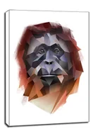 Obrazy i zdjęcia na płótnie - orangutan - obraz na płótnie Wymiar do wyboru: 40x60 cm - miniaturka - grafika 1