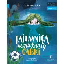 Zofia Stanecka Tajemnica namokniętej gąbki Czytam sobie z Bakcylem - Baśnie, bajki, legendy - miniaturka - grafika 1