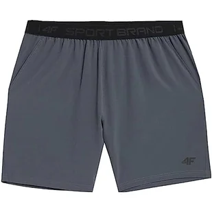 4F Męskie szorty H4Z22-Skmf011 FNK, ciemnoszare, XL, ciemnoszary, XL - Spodenki damskie - miniaturka - grafika 1