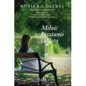 Literatura obyczajowa - Miłość w kasztanie zaklęta Wersja kieszonkowa Używana - miniaturka - grafika 1