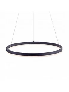 Paul Neuhaus Oświetlenie TITUS Lampa Wisząca LED Antracytowy, 1-punktowy 2383-13 - Lampy sufitowe - miniaturka - grafika 1