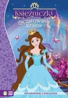Książki edukacyjne - Zaczarowana kraina. Księżniczki - Opracowanie zbiorowe - miniaturka - grafika 1