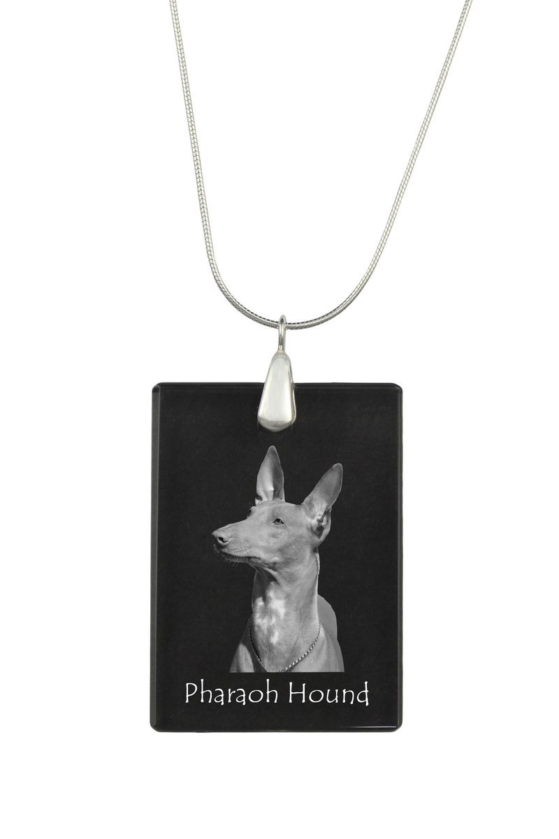 Pies faraona, chart maltański - kryształowa zawieszka z psem, srebrny naszyjnik ze zdjęciem, personalizowany wisiorek marki Art-Dog