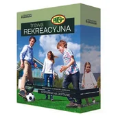Trawy i trawniki - Mieszanka Rekreacyjna 2 kg kartonik - miniaturka - grafika 1