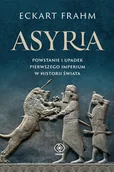 Historia świata - Asyria. Powstanie i upadek pierwszego imperium w historii świata - miniaturka - grafika 1