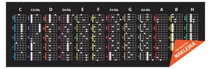 Naklejka akordy na ukulele NUT1/AKORD - Książki o muzyce - miniaturka - grafika 1