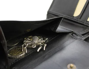 Portfel Męski Skórzany EL FORREST Średni Skóra Bydlęca Poziomy Z Zapięciem Jedno Skrzydełko 850 67 RFID CZARNY 11.5 x 9 x 3 [cm] - Portfele - miniaturka - grafika 4