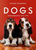 Książki o kulturze i sztuce - Dogs. Photographs 1941–1991 - miniaturka - grafika 1