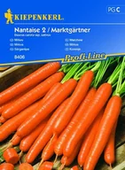 Nasiona i cebule - Marchew Nantaise 2 / Marktgärtner – Kiepenkerl - miniaturka - grafika 1