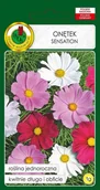 Nasiona i cebule - Onętek Sensation Mieszany 1 g PNOS - miniaturka - grafika 1