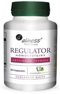 Leki dla diabetyków - MEDICALINE Aliness Regulator Homocysteiny x 60 kaps - miniaturka - grafika 1