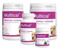 Dolvit Multical BigDog 90 tabletek - Suplementy i witaminy dla psów - miniaturka - grafika 1