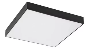 Rabalux Lampa sufitowa zewnętrzna LED 24W TARTU 7900 7900 - Lampy ogrodowe - miniaturka - grafika 1