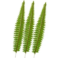 Sztuczne kwiaty - Liście paproci 3 sztuki zielone - miniaturka - grafika 1