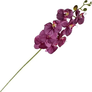 STORCZYK GAŁĄZKA KWIAT ORCHIDEA ŁODYGA 100 CM - Sztuczne kwiaty - miniaturka - grafika 1