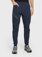 Odzież trekkingowa męska - Dynafit Spodnie outdoor Warm 08-71705 Granatowy Regular Fit - miniaturka - grafika 1