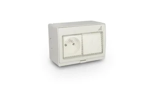 Elektro-Plast opatÓwek Gniazdo pojedyncze + Łącznik podwójny natynkowy GPW2N IP55 AQUA55 55.29 55.29 - Gniazdka elektryczne - miniaturka - grafika 1