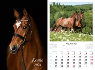 Kalendarze - Kalendarz 2024 Ścienny dwustronny Konie - miniaturka - grafika 1