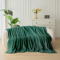 Koce - Cotton World Koc pluszowy 160x200 ciemnozielony KHG38 - miniaturka - grafika 1