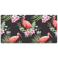 Podkładki na biurko - Podkładka na biurko Czary ptak 120x60 cm - miniaturka - grafika 1