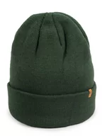 Czapki męskie - Czapka zimowa męska zielona wywinięta z logo 58-60 YOCLUB - miniaturka - grafika 1