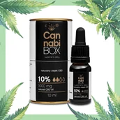 Przeciwbólowe - MACROLIFE Sp.j. CannabiBOX 1000 mg 10% 10 ml 3701341 - miniaturka - grafika 1