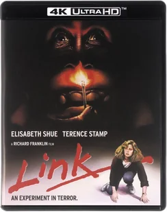 Link - Horrory Blu-Ray - miniaturka - grafika 1