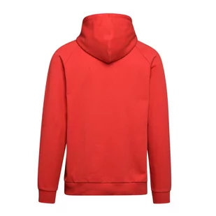 Bluza męska DIADORA HOODIE TROFEO - Bluzy męskie - miniaturka - grafika 2