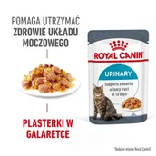 Mokra karma dla kotów - ROYAL CANIN FCN Urinary Care Jelly 12 x 85 g - miniaturka - grafika 1
