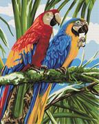 Malowanie po numerach - Symag Obraz Paint it! Malowanie po numerach. Kolorowe papugi GXP-792664 - miniaturka - grafika 1