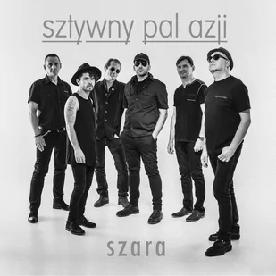 Szara Sztywny Pal Azji - Rock - miniaturka - grafika 1